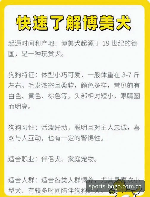 新手必看：博狗2024版本使用心得，从注册到下载的完整指南