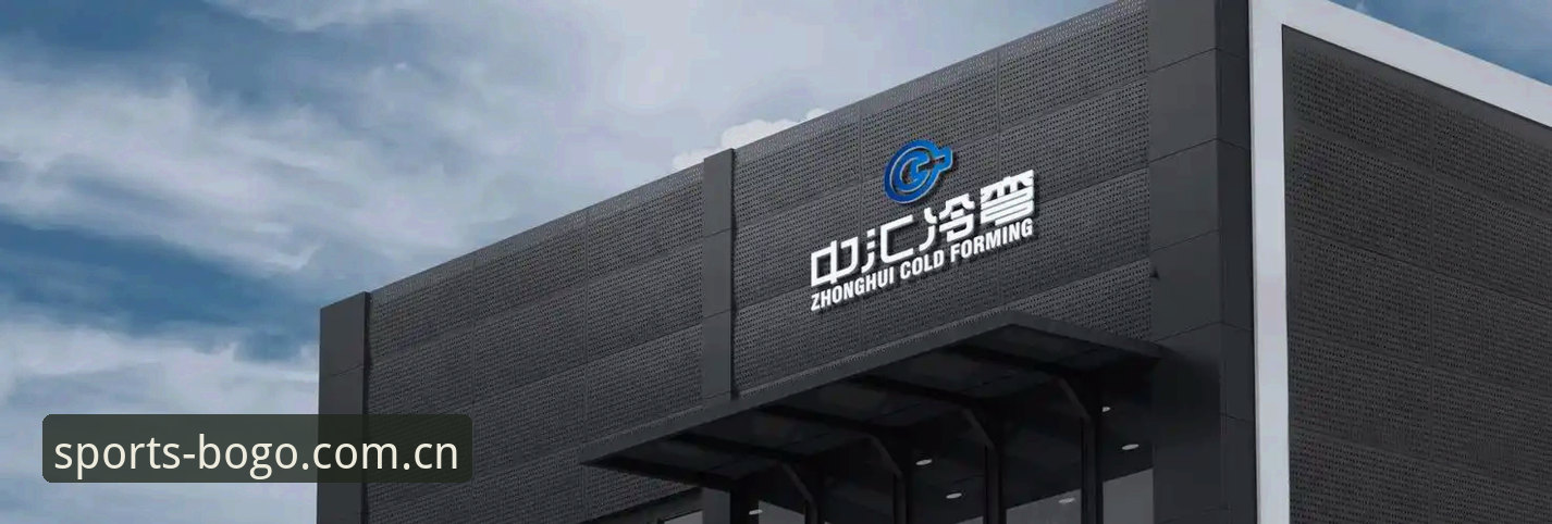 博狗登录入口必备 博狗体育平台2024全面评测:登录入口必备的五大创新解决方案深度解析
